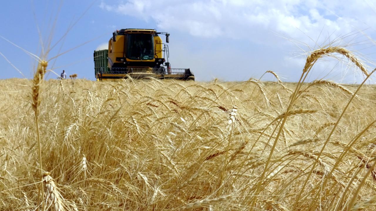 Tarımsal destekleme ödemesi bugün yapılacak