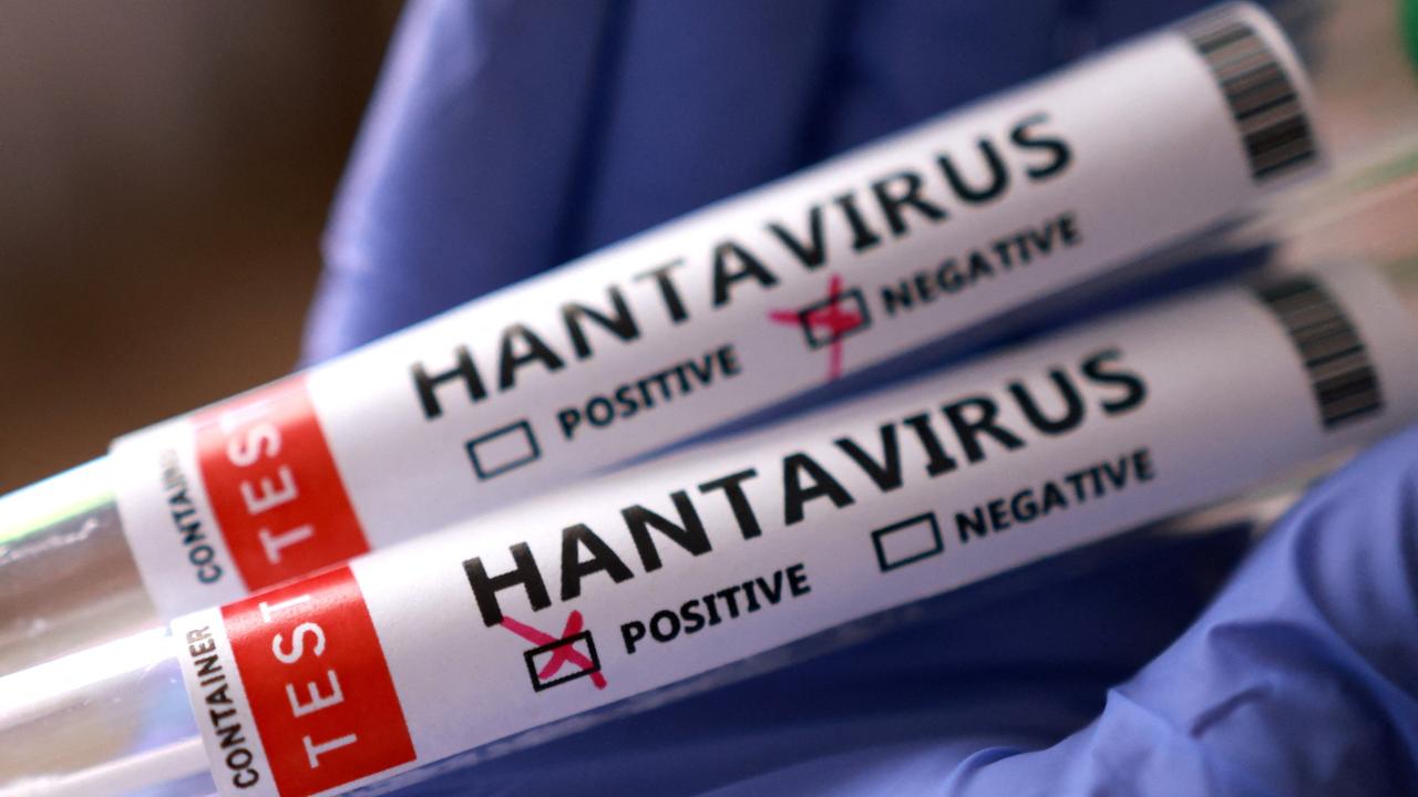 Sağlık Bakanlığı'ndan "hantavirüs" açıklaması