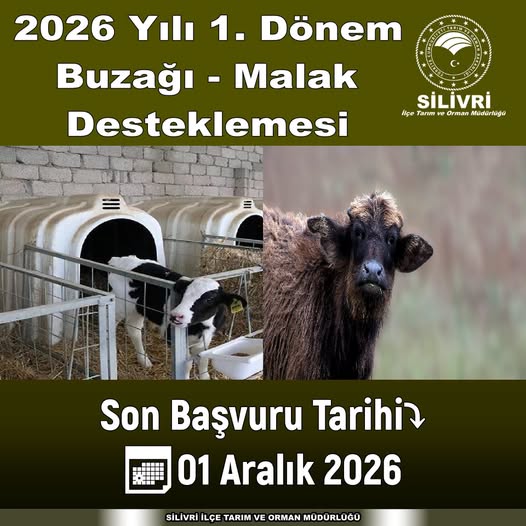 Buzağı ve Malak Desteklemesi İçin Son Başvuru Tarihi 1 Aralık