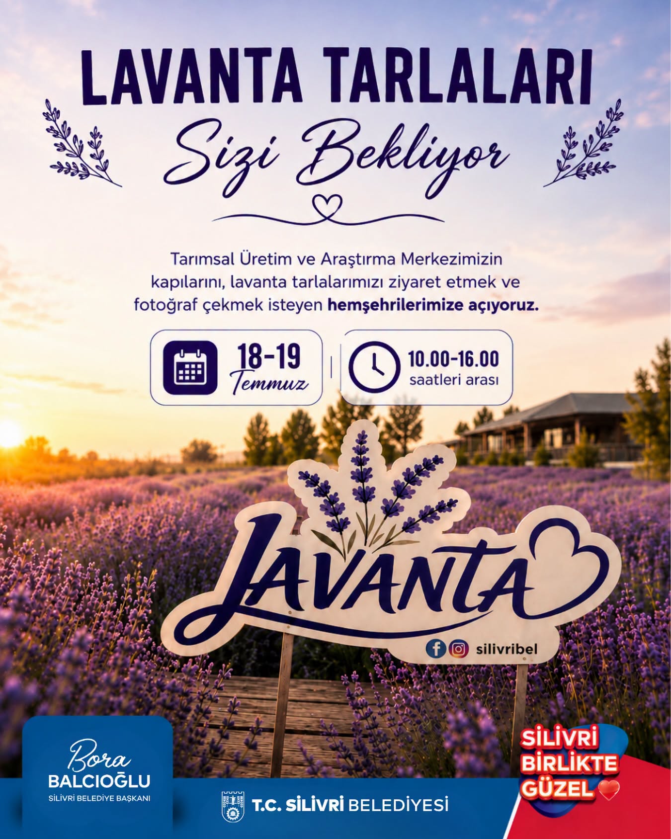 Silivri Belediyesi Lavanta Tarlalarını Ziyaretçilere Açıyor